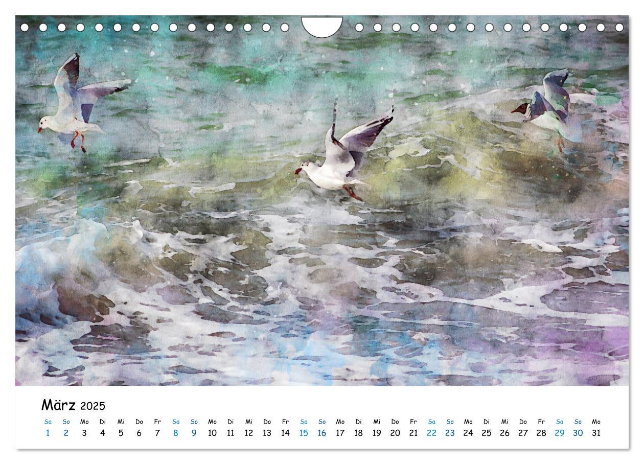 Bild: 9783435145140 | Aquarell Illustrationen vom Darß (Wandkalender 2025 DIN A4 quer),...