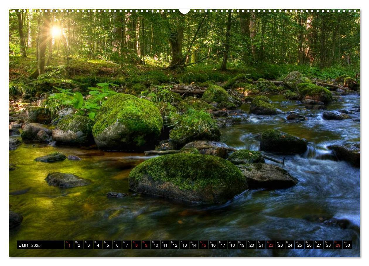 Bild: 9783435789221 | Harz Landschaften (Wandkalender 2025 DIN A2 quer), CALVENDO...