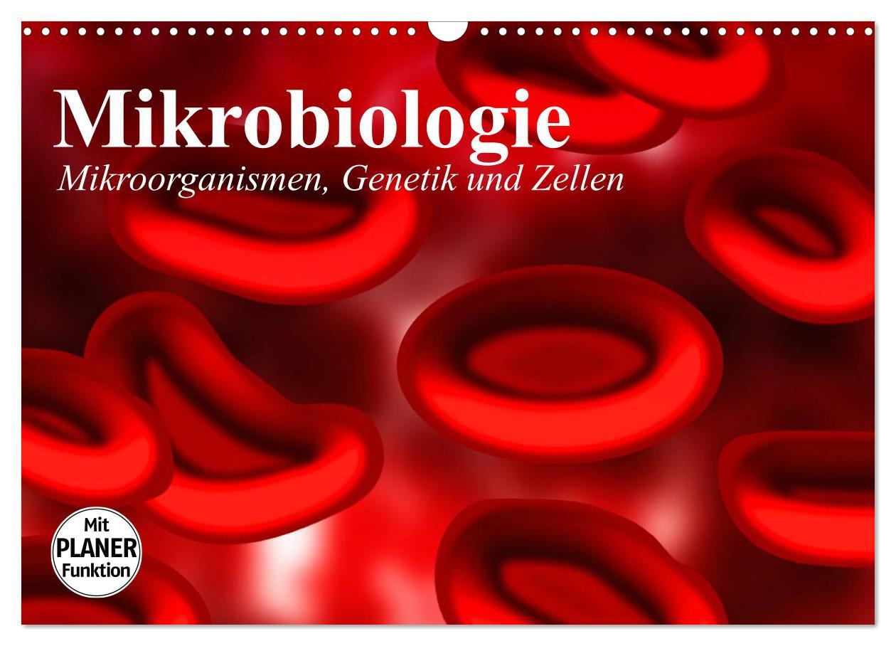 Cover: 9783435483372 | Mikrobiologie. Mikroorganismen, Genetik und Zellen (Wandkalender...