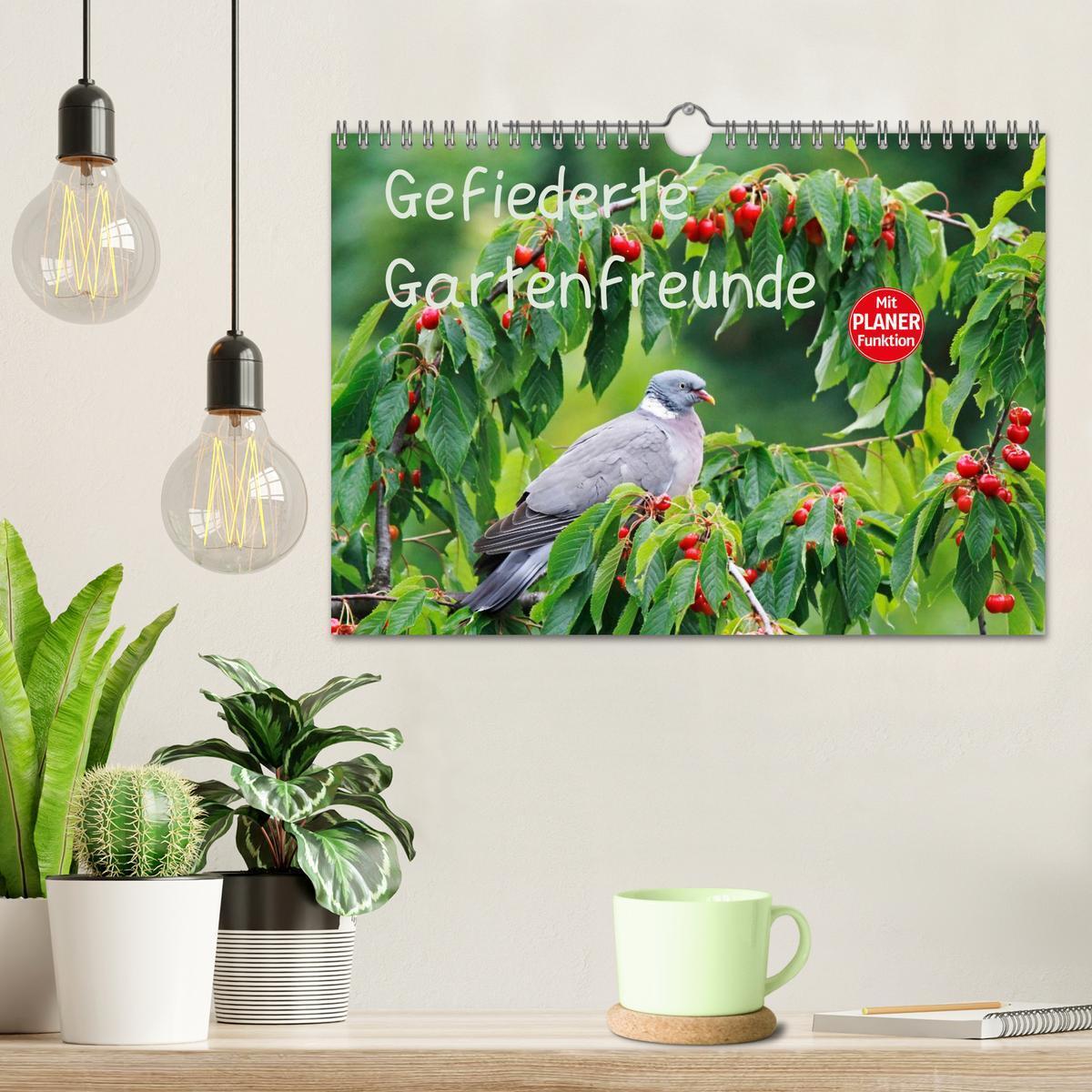 Bild: 9783435555062 | Gefiederte Gartenfreunde (Wandkalender 2025 DIN A4 quer), CALVENDO...