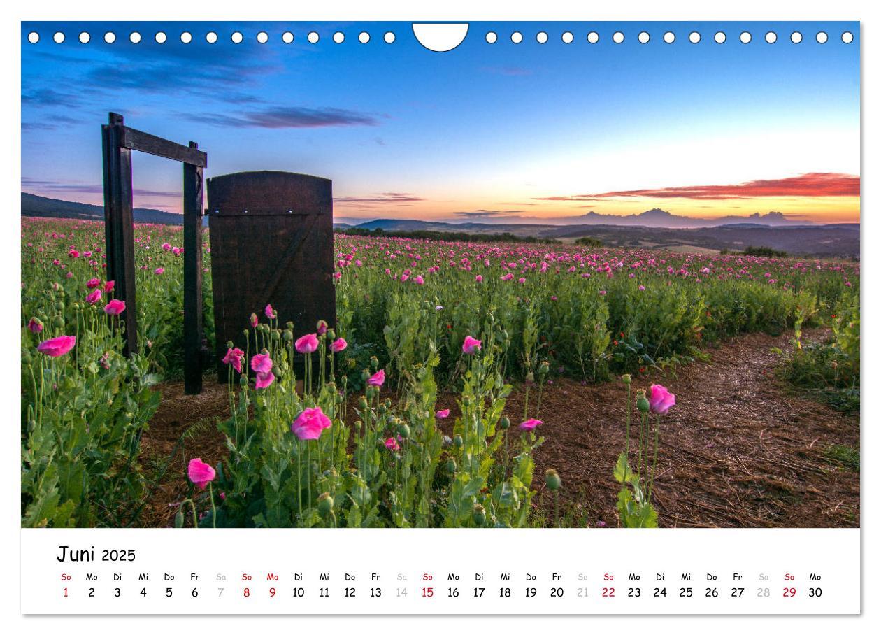 Bild: 9783435325436 | Fotogenes Nordhessen (Wandkalender 2025 DIN A4 quer), CALVENDO...