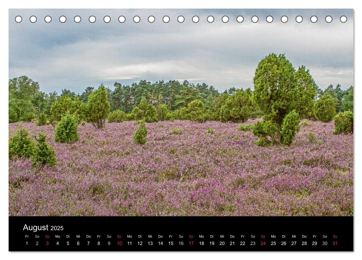 Bild: 9783435774555 | Lüneburger Heide (Tischkalender 2025 DIN A5 quer), CALVENDO...