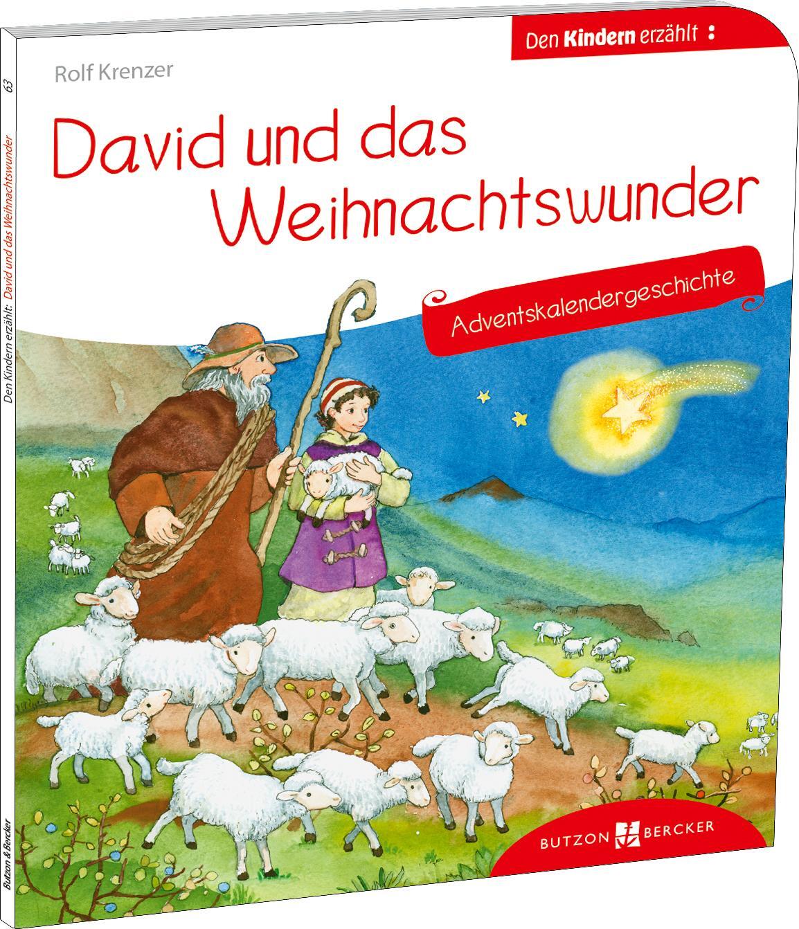 Cover: 9783766630636 | David und das Weihnachtswunder. Adventskalendergeschichte | Schwandt