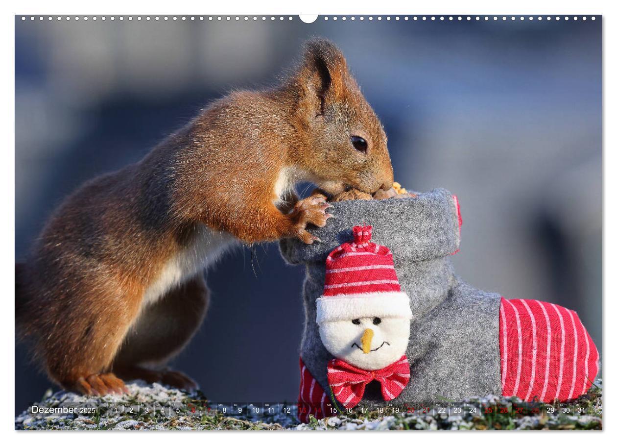 Bild: 9783435344963 | Eichhörnchen Luna und ihre Kinder (Wandkalender 2025 DIN A2 quer),...