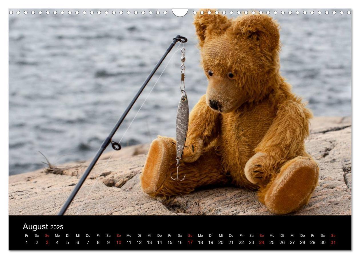 Bild: 9783435674084 | Teddy Basse, Fortsetzung... (Wandkalender 2025 DIN A3 quer),...