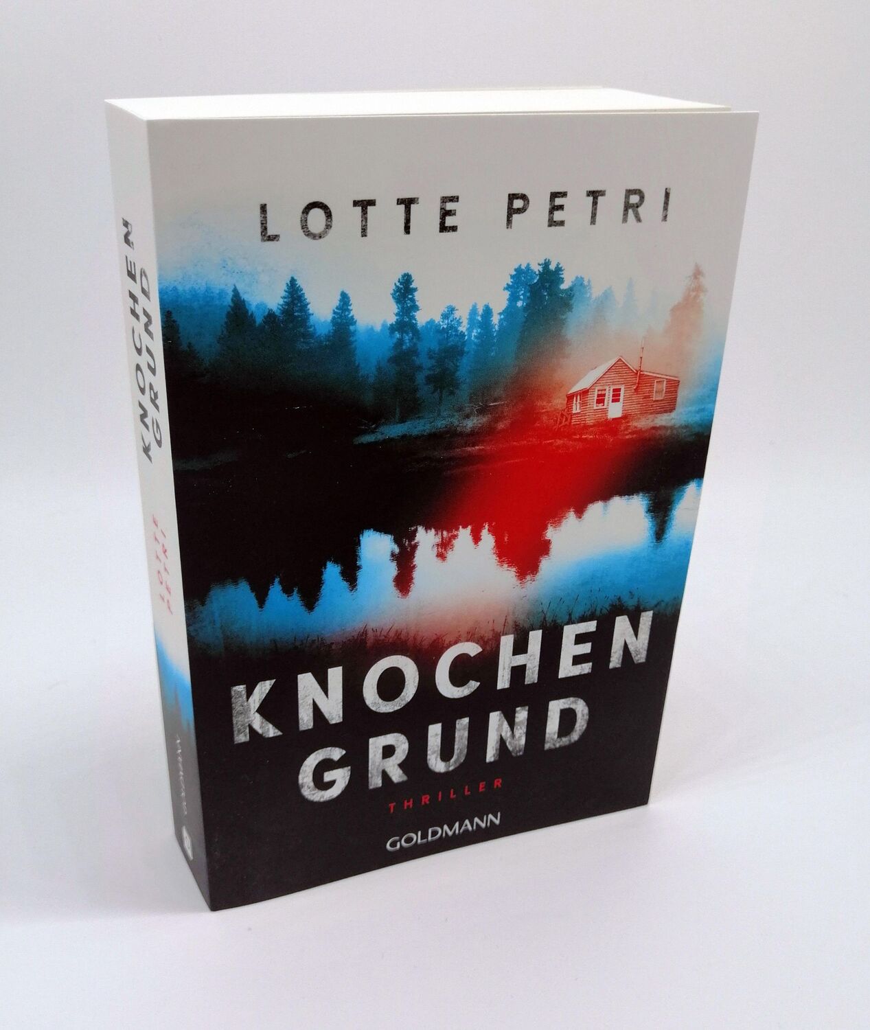 Bild: 9783442489596 | Knochengrund | Thriller | Lotte Petri | Taschenbuch | 512 S. | Deutsch