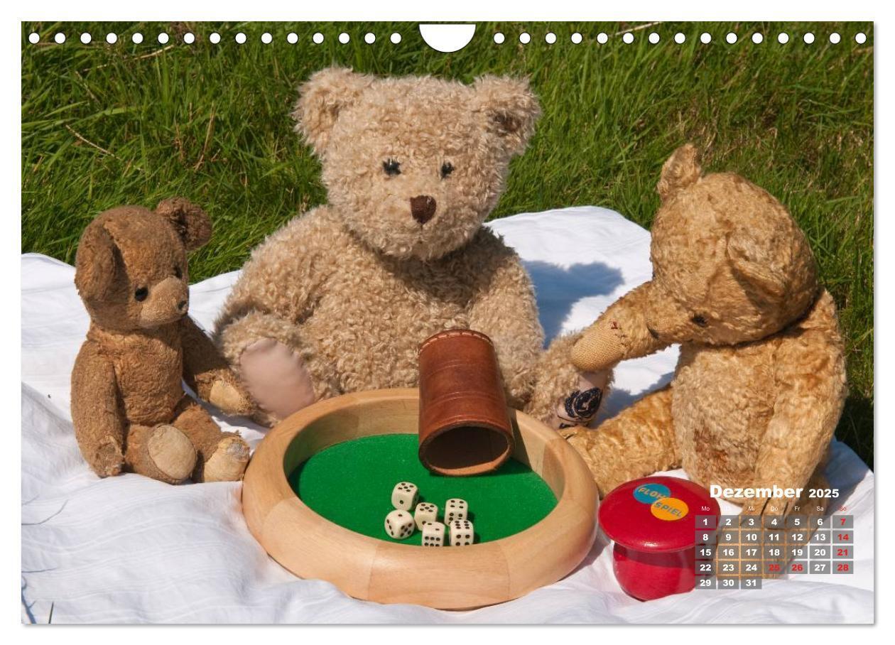 Bild: 9783435576586 | Geliebte Bären - Teddys (Wandkalender 2025 DIN A4 quer), CALVENDO...