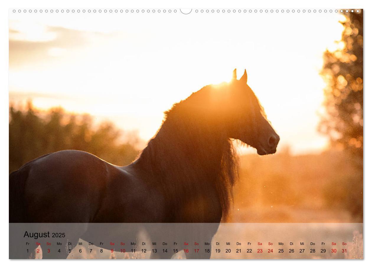 Bild: 9783435288878 | Pferdezauber 2025 (Wandkalender 2025 DIN A2 quer), CALVENDO...