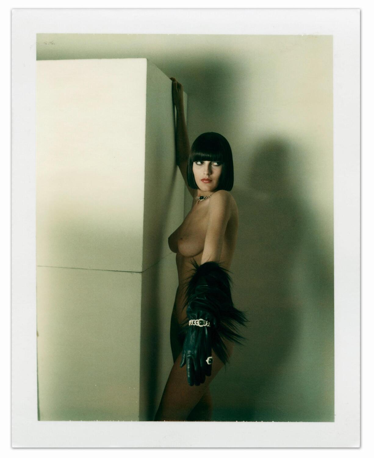 Bild: 9783836528863 | Helmut Newton - Polaroids | Helmut Newton | Buch | GER, Hardcover