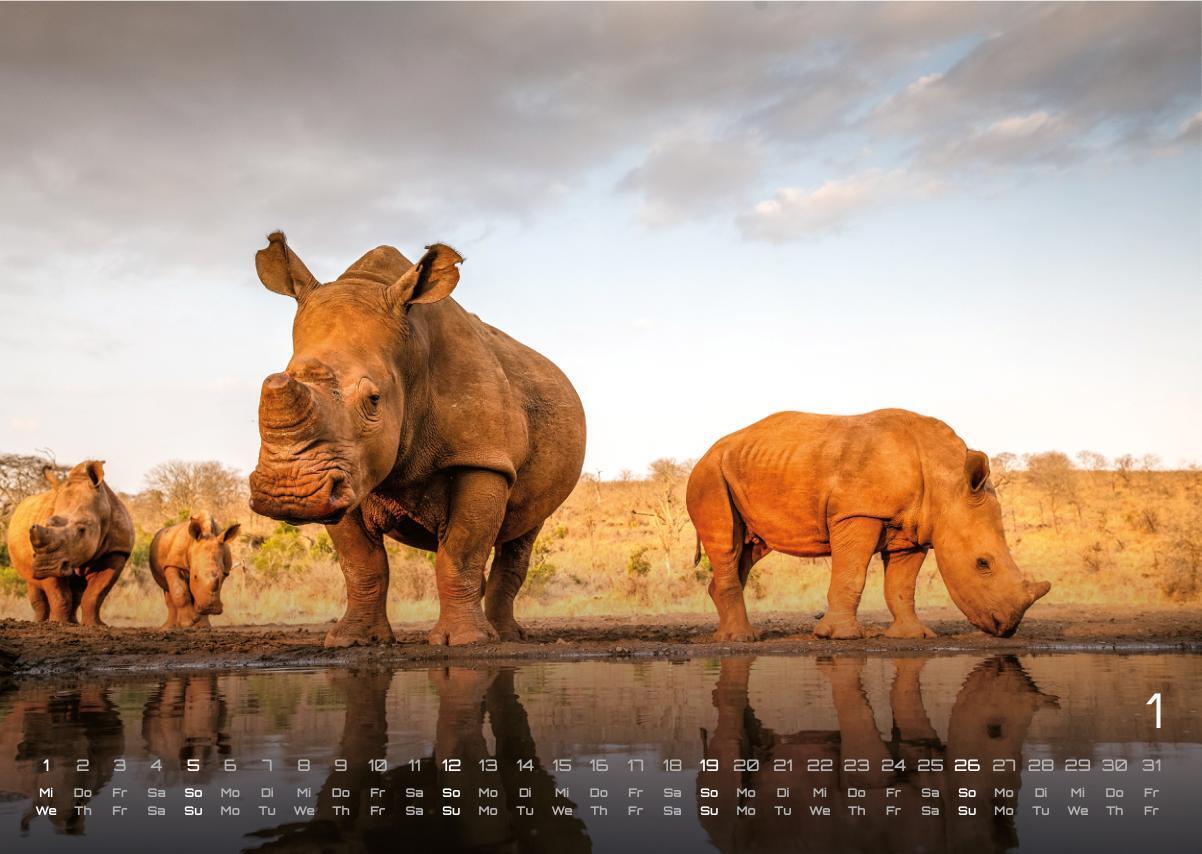 Bild: 9783986734381 | Afrikas Tierwelt - Der Tierkalender - 2025 - Kalender DIN A3 | 15 S.