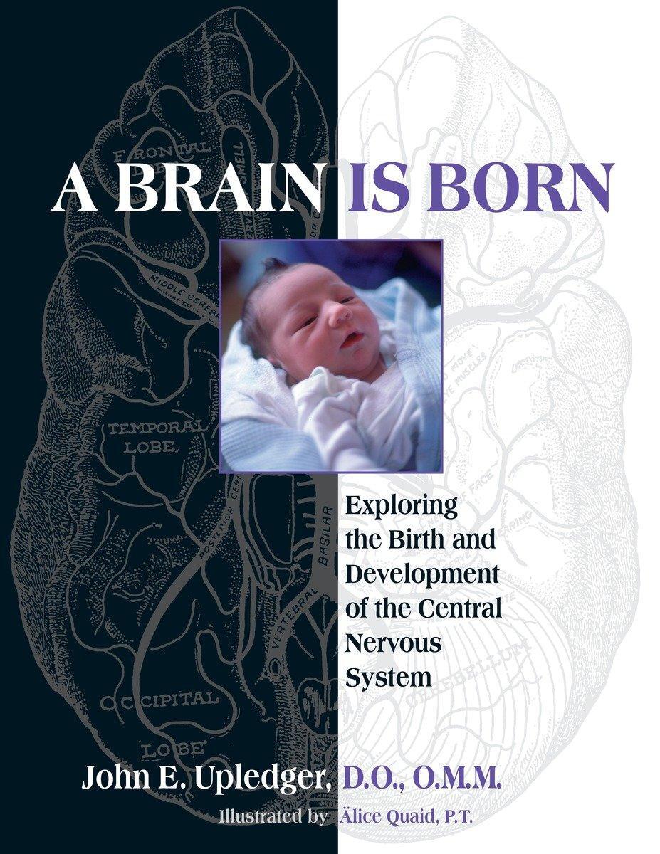 Cover: 9781583943014 | A Brain Is Born | John E. Upledger | Taschenbuch | Englisch | 2010