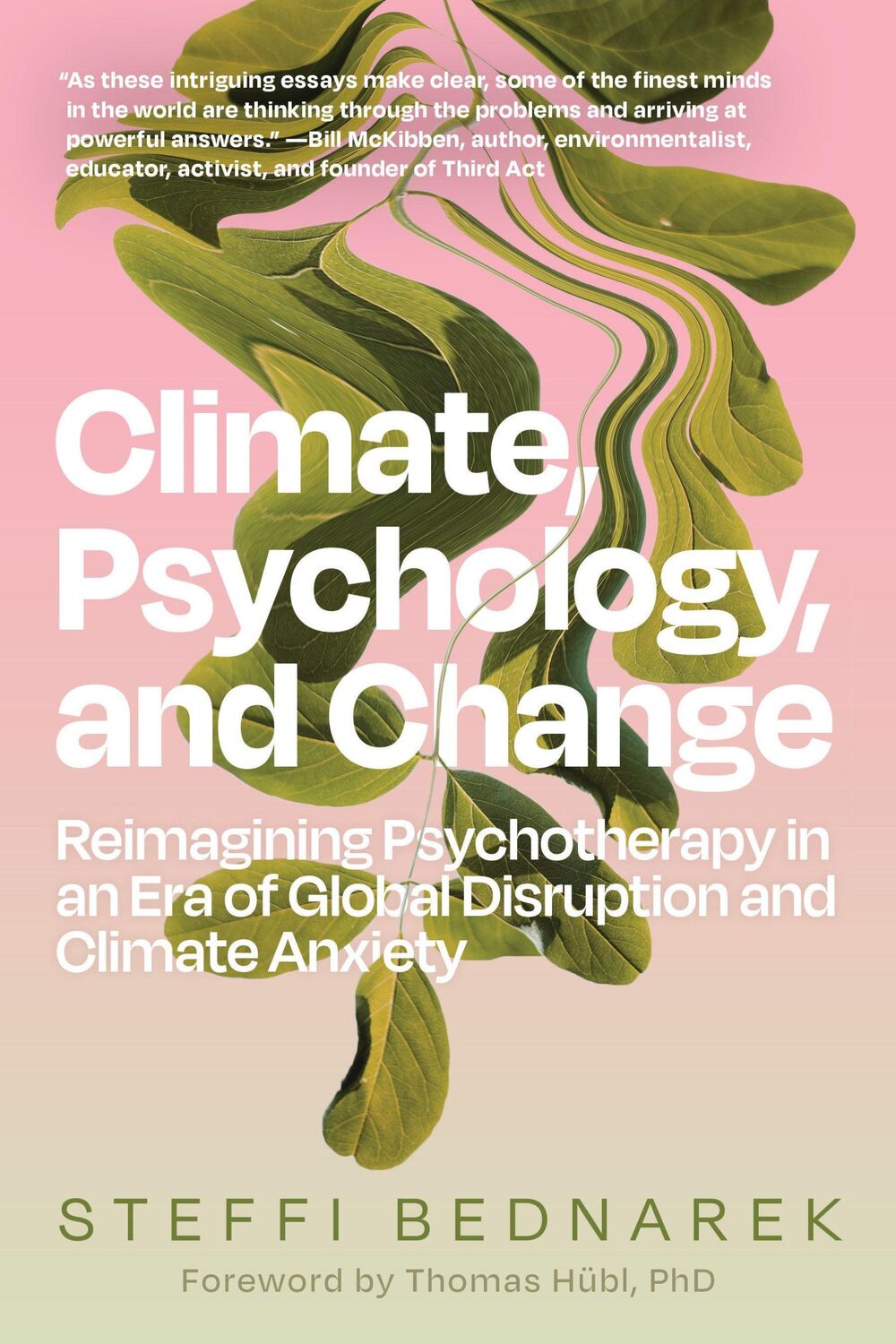 Cover: 9798889840817 | Climate, Psychology, and Change | Steffi Bednarek | Taschenbuch | 2024