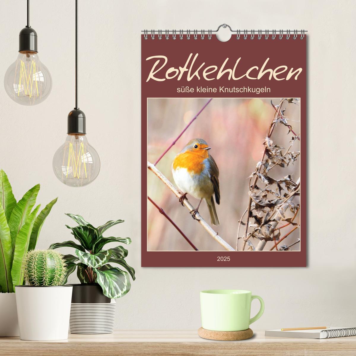 Bild: 9783435929955 | Rotkehlchen, süße kleine Knutschkugeln (Wandkalender 2025 DIN A4...