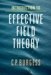 Cover: 9780521195478 | Introduction to Effective Field Theory | Cliff P. Burgess | Buch