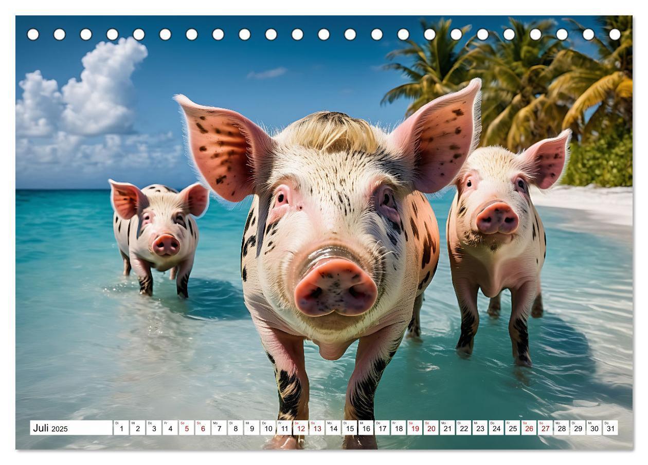 Bild: 9783383835292 | Schwimmende Schweine im Paradies (Tischkalender 2025 DIN A5 quer),...