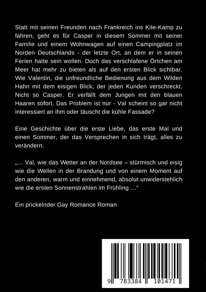 Bild: 9783384101471 | Eisblau - Die Geschichte eines Sommers | Julien Roux | Taschenbuch