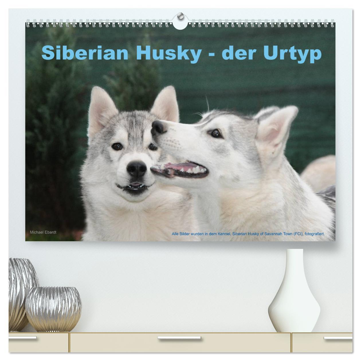 Cover: 9783435746705 | Siberian Husky - der Urtyp (hochwertiger Premium Wandkalender 2025...