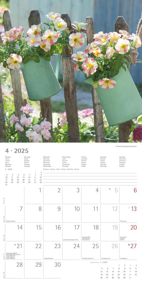 Bild: 4251732340636 | Garden &amp; Decoration 2025 - Broschürenkalender 30x30 cm (30x60...