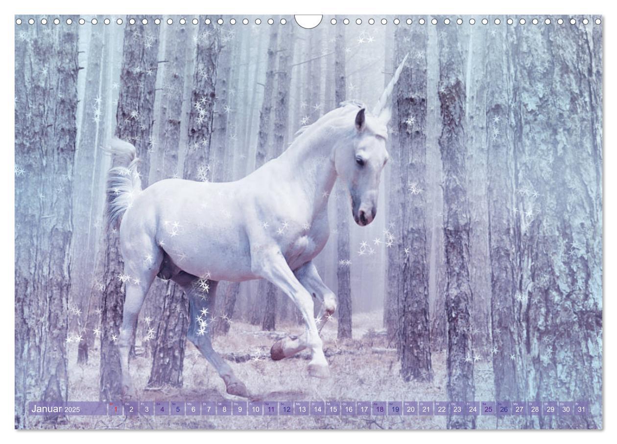 Bild: 9783435307562 | Einhorn Love - Fantasiewelt (Wandkalender 2025 DIN A3 quer),...