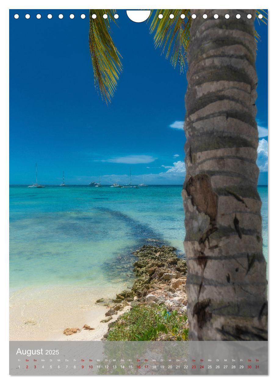 Bild: 9783435916689 | Karibischer Traum Isla Saona (Wandkalender 2025 DIN A4 hoch),...