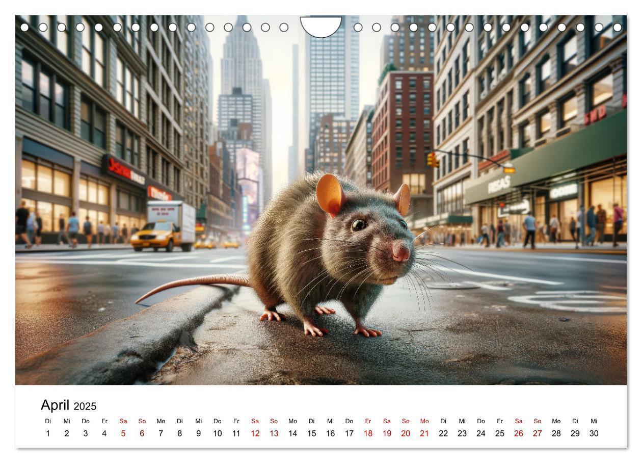 Bild: 9783383787539 | Ratten auf Reisen (Wandkalender 2025 DIN A4 quer), CALVENDO...