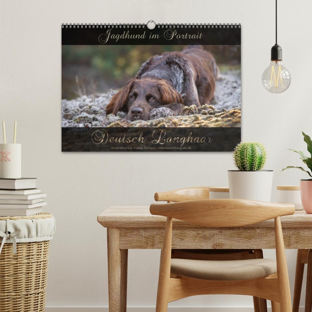 Bild: 9783383838477 | Jagdhund im Portrait - Deutsch Langhaar (Wandkalender 2025 DIN A3...