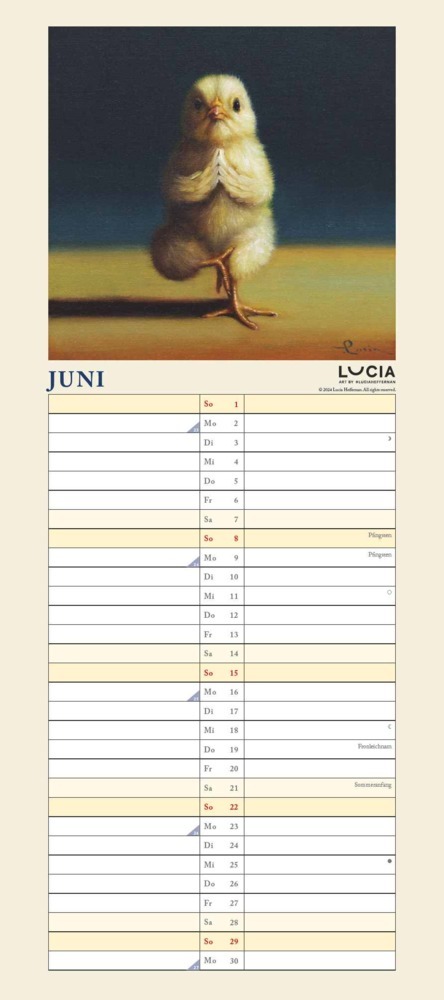 Bild: 4250809653921 | DUMONT - Yoga Chicks 2025 Familienkalender, 22x49,5cm, Planer mit...