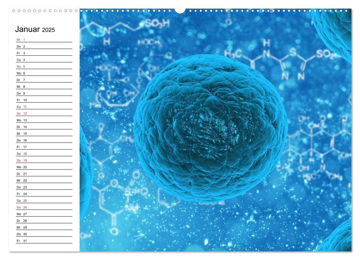 Bild: 9783435482962 | Mikrobiologie. Mikroorganismen, Genetik und Zellen (Wandkalender...