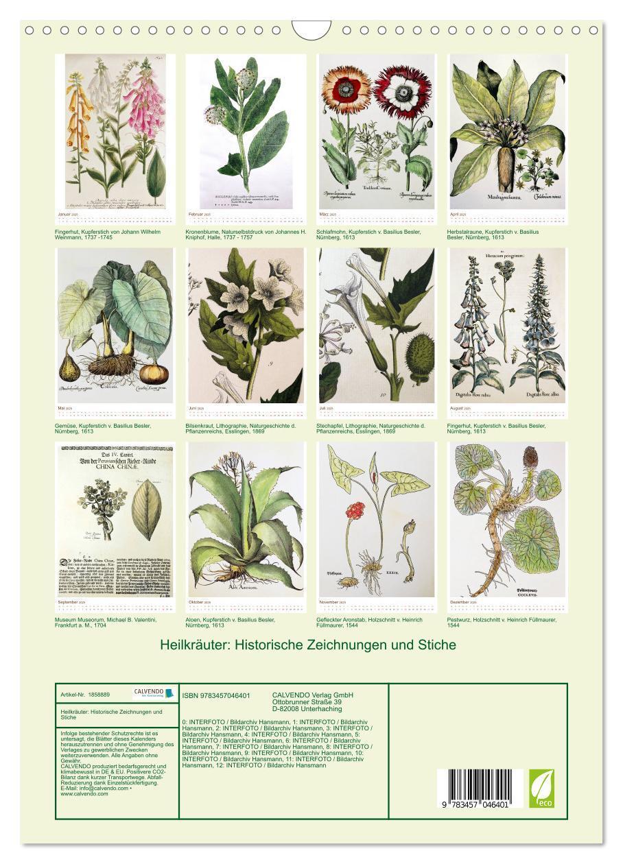 Bild: 9783457046401 | Heilkräuter: Historische Zeichnungen und Stiche (Wandkalender 2025...
