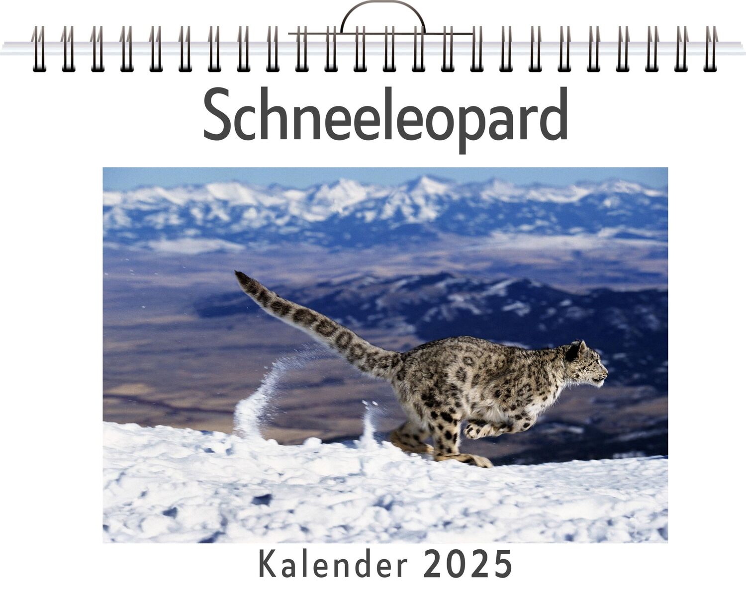 Cover: 9783759132970 | Schneeleopard | Felix Vogel | Kalender | Kalender | 14 S. | Deutsch