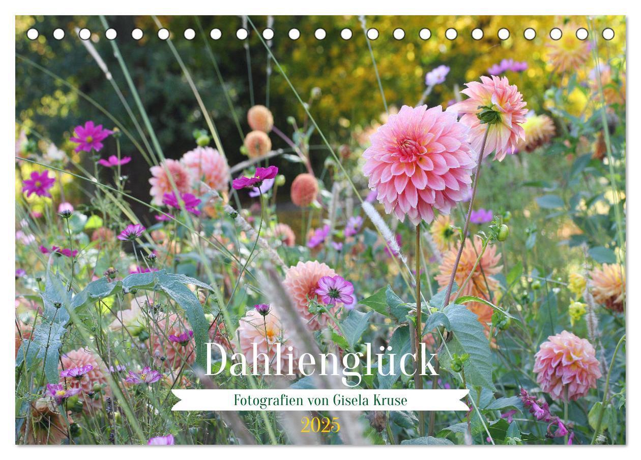 Cover: 9783383929557 | Dahlienglück (Tischkalender 2025 DIN A5 quer), CALVENDO Monatskalender