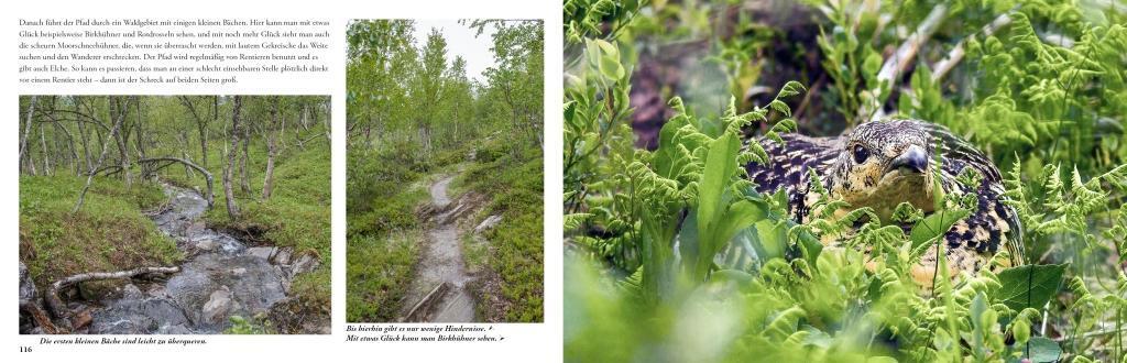 Bild: 9789198331004 | Lappland - Eine Reise in die letzte Wildnis Europas | Idelmann | Buch