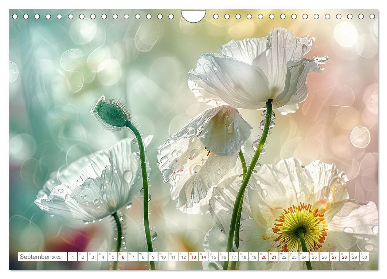 Bild: 9783383814549 | Bezaubernde Mohnblumen (Wandkalender 2025 DIN A4 quer), CALVENDO...