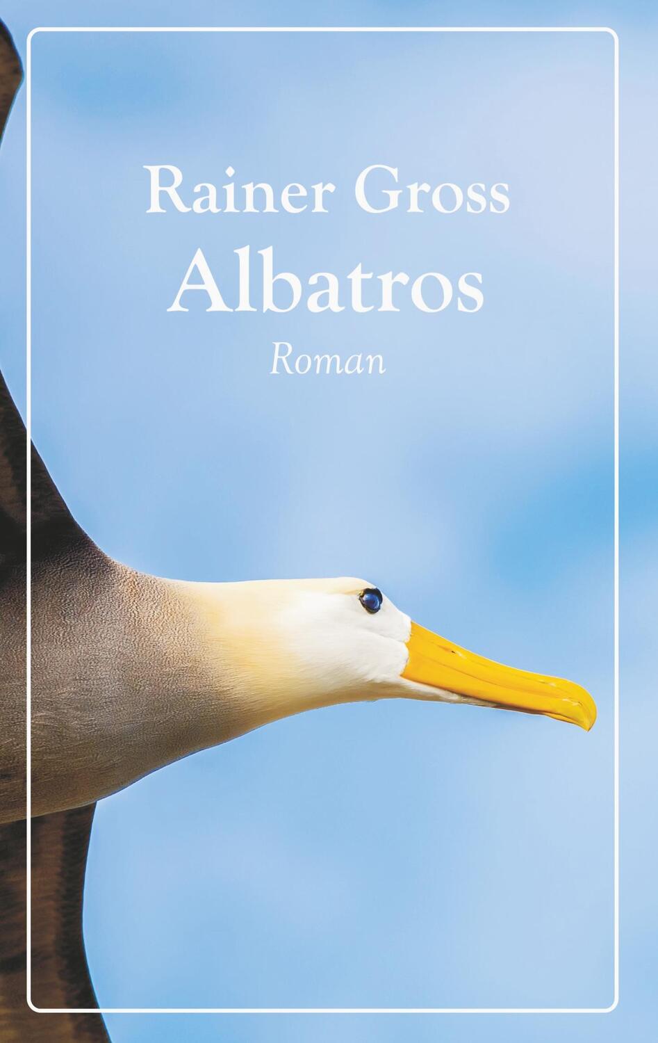 Cover: 9783746007397 | Albatros | Roman | Rainer Gross | Taschenbuch | Paperback | 188 S.