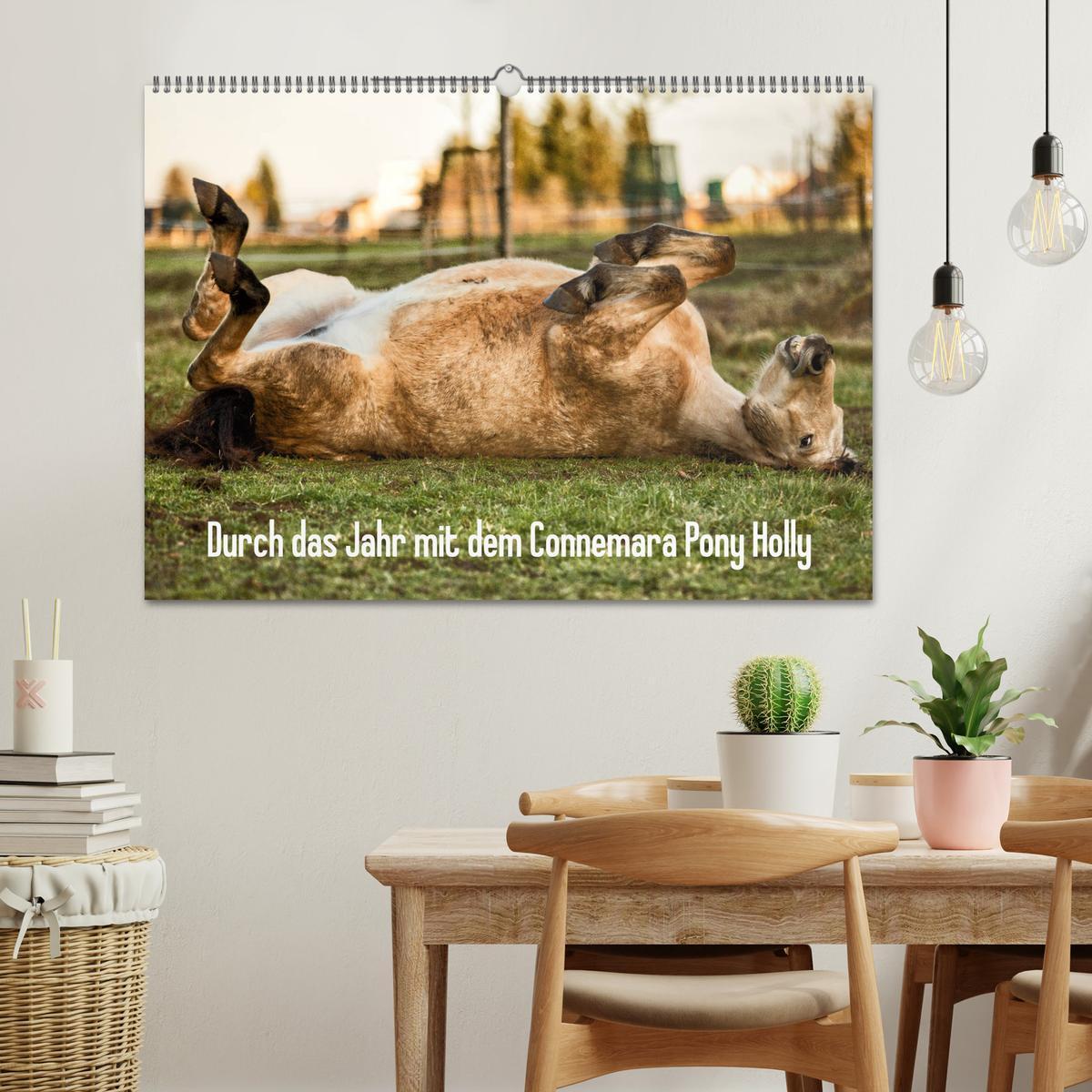 Bild: 9783435171699 | Durch das Jahr mit dem Connemara Pony Holly (Wandkalender 2025 DIN...