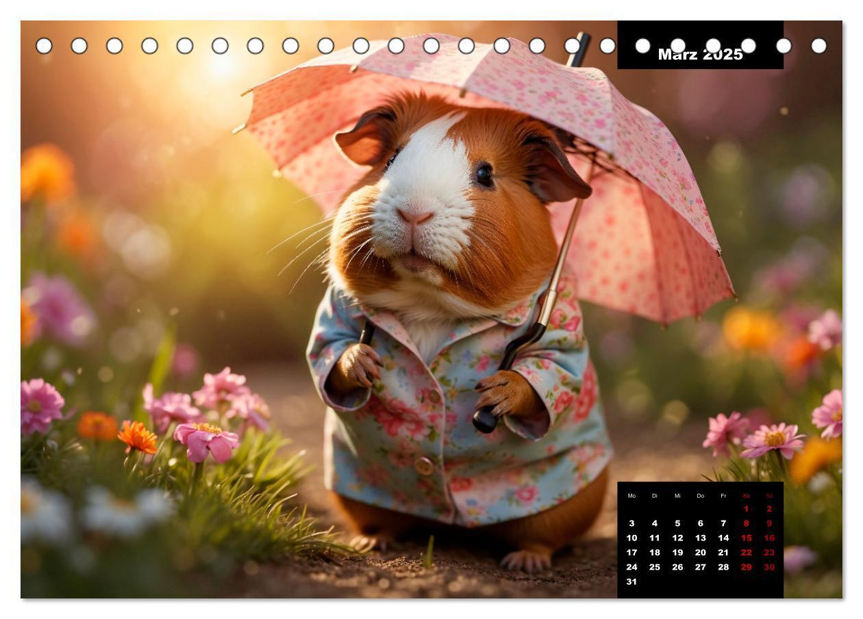 Bild: 9783435013135 | Meerschweinchen mal anders! (Tischkalender 2025 DIN A5 quer),...