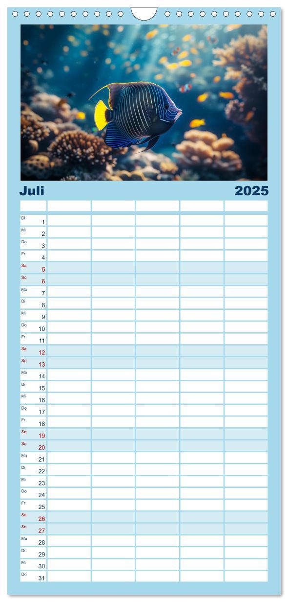 Bild: 9783457191538 | Familienplaner 2025 - Exotische Fische mit 5 Spalten (Wandkalender,...