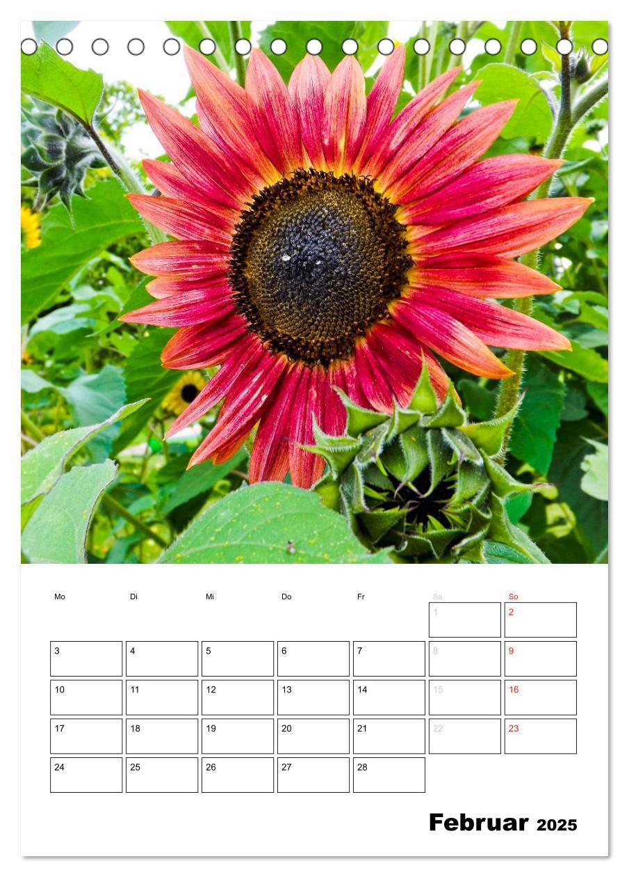 Bild: 9783435996476 | Strahlende Sonnenblumen (Tischkalender 2025 DIN A5 hoch), CALVENDO...