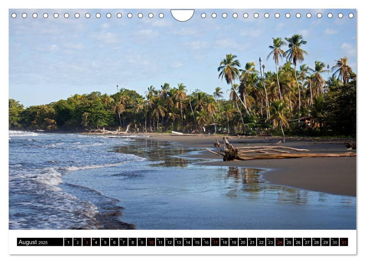 Bild: 9783435831128 | Costa Rica (Wandkalender 2025 DIN A4 quer), CALVENDO Monatskalender