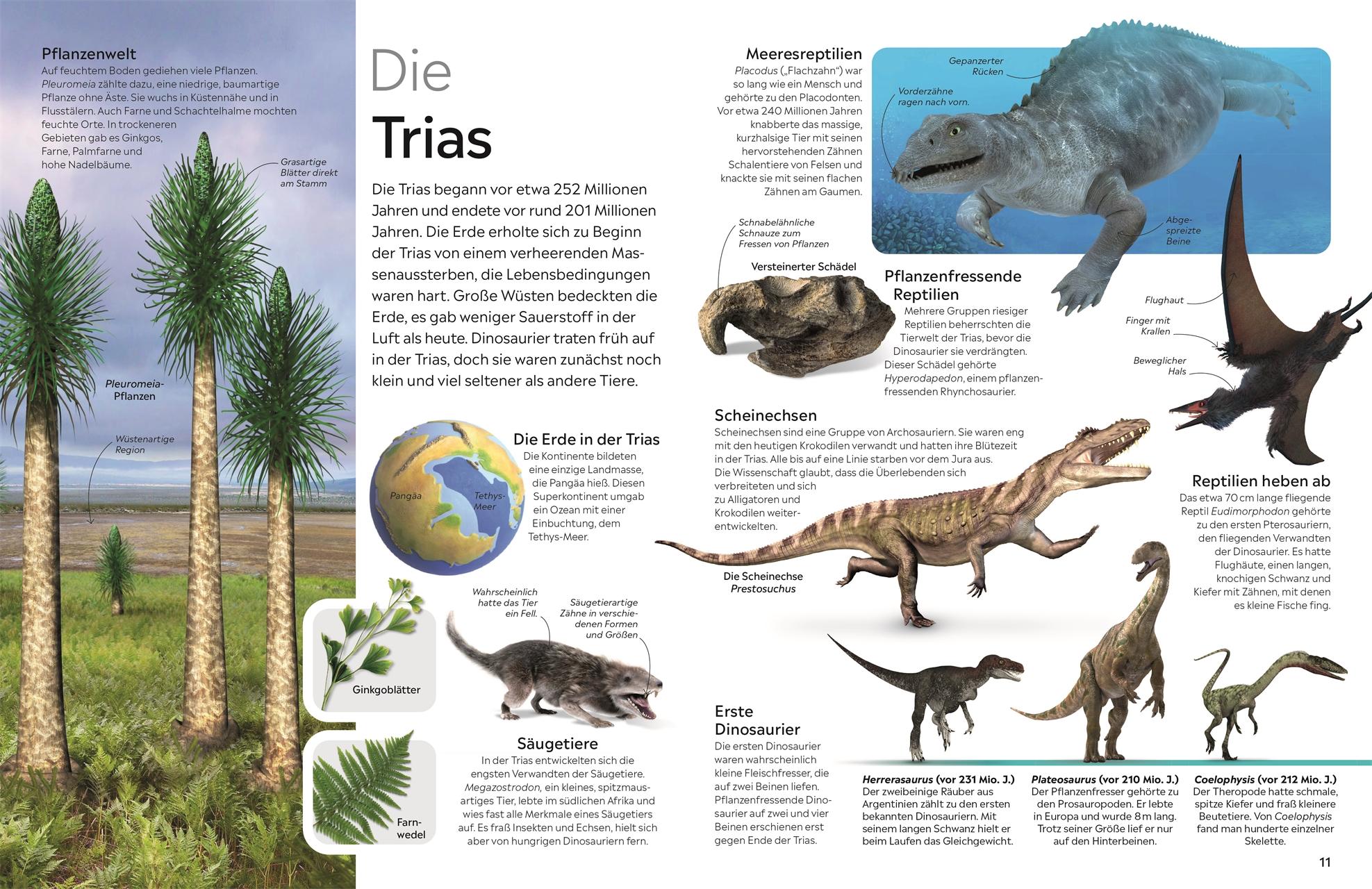 Bild: 9783831049042 | memo Wissen. Dinosaurier | David Lambert | Buch | 72 S. | Deutsch