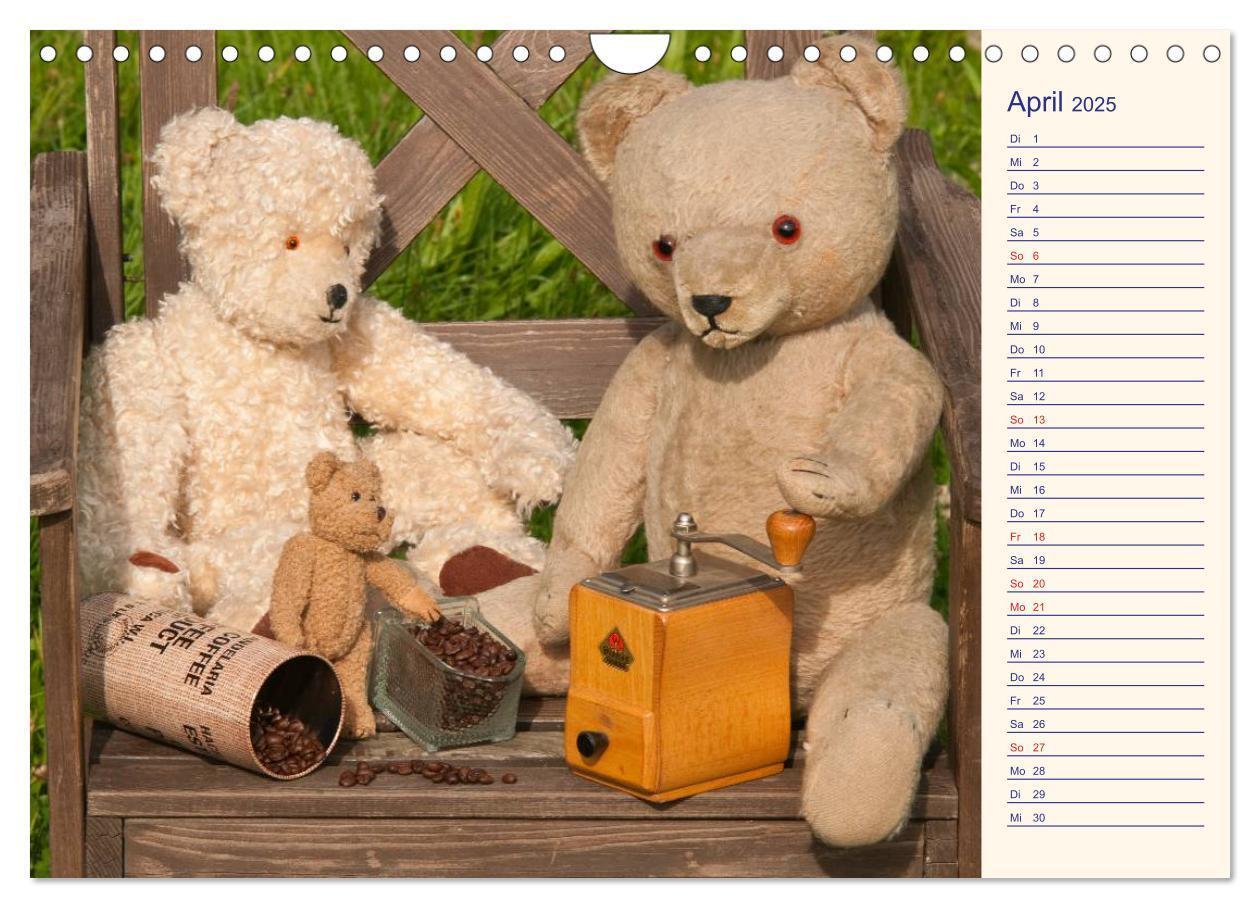 Bild: 9783435508235 | Geliebte Bären - Teddys (Wandkalender 2025 DIN A4 quer), CALVENDO...