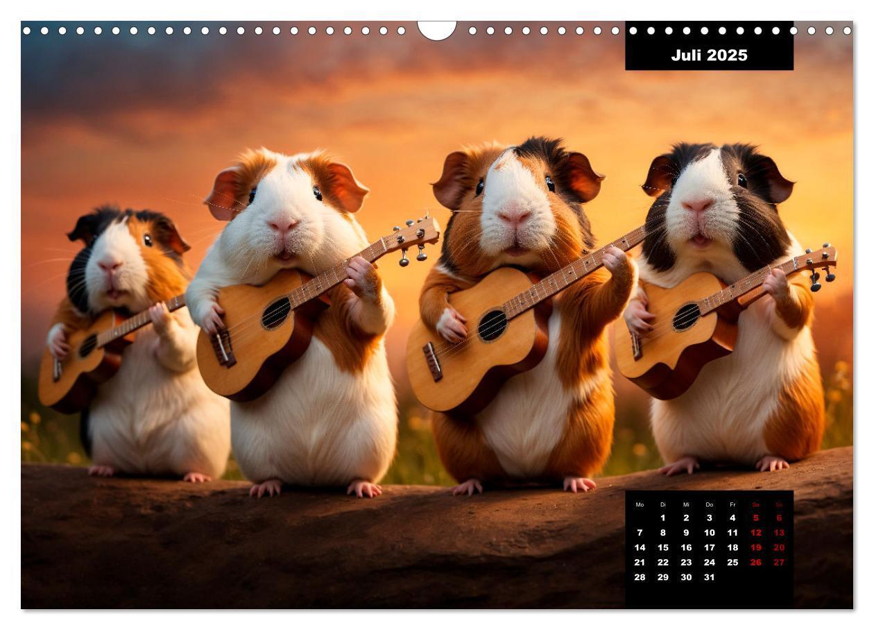 Bild: 9783435012527 | Meerschweinchen mal anders! (Wandkalender 2025 DIN A3 quer),...