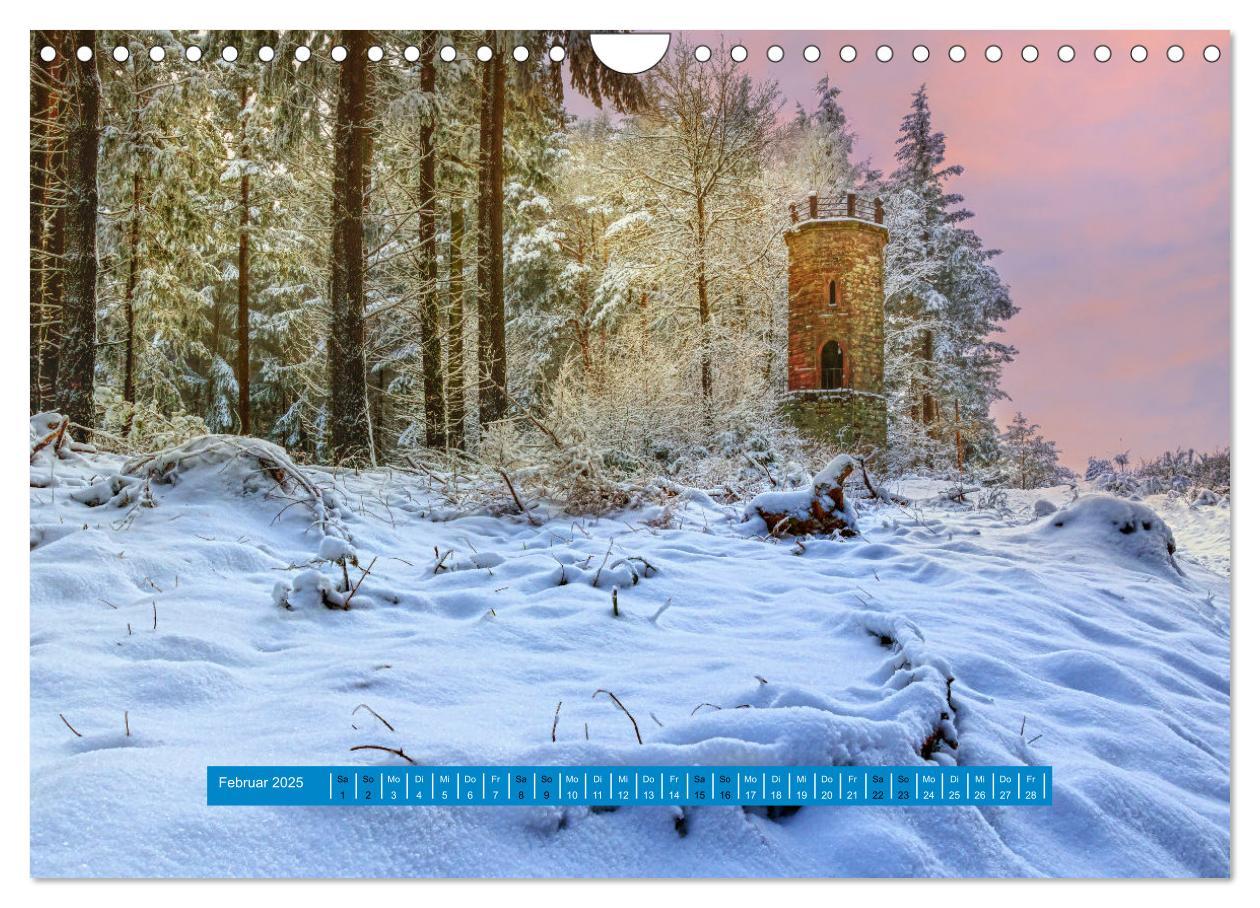 Bild: 9783383939549 | Magischer Pfälzer Wald (Wandkalender 2025 DIN A4 quer), CALVENDO...