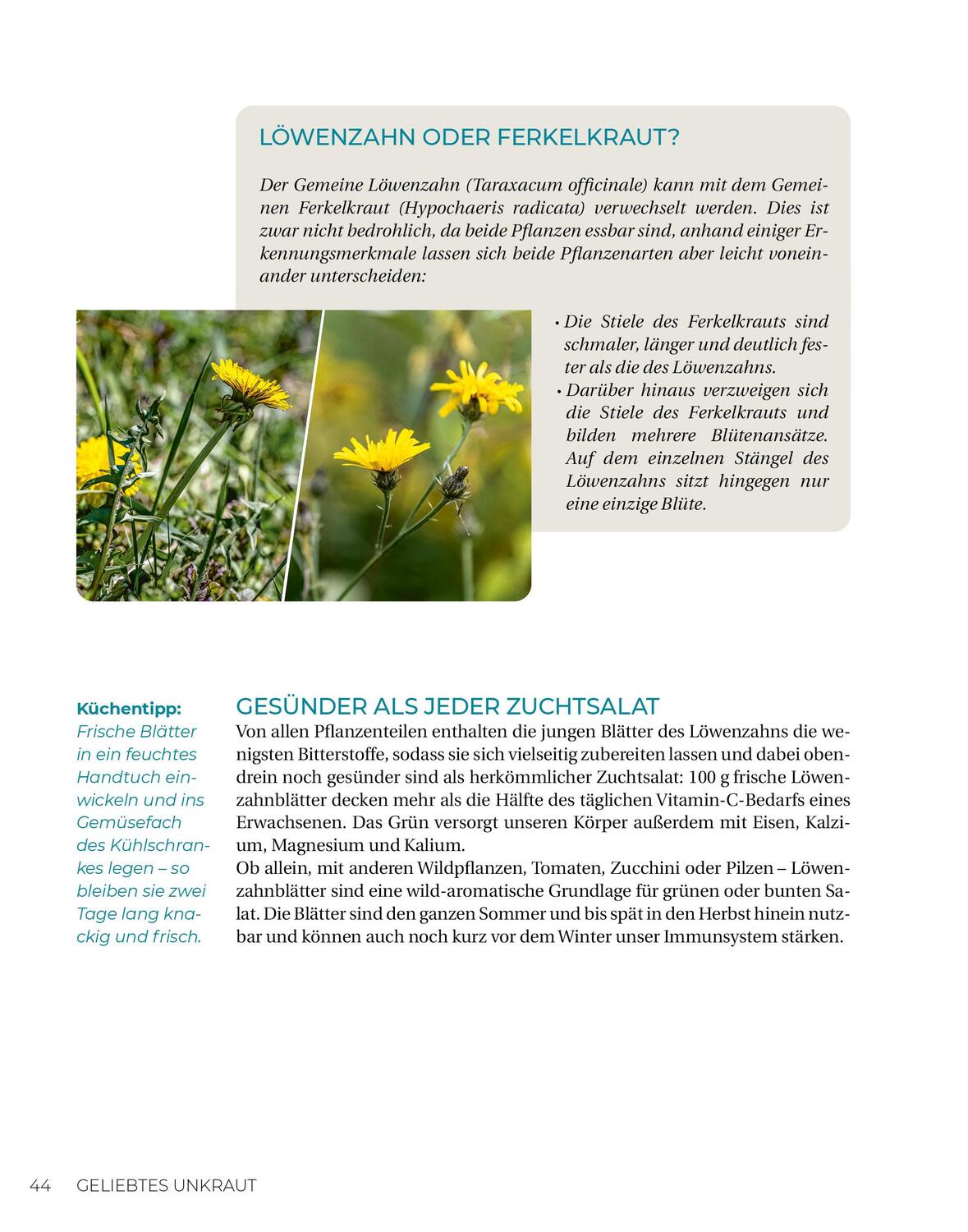 Bild: 9783910801103 | Geliebtes Unkraut | smarticular Verlag | Taschenbuch | Kostbare Natur