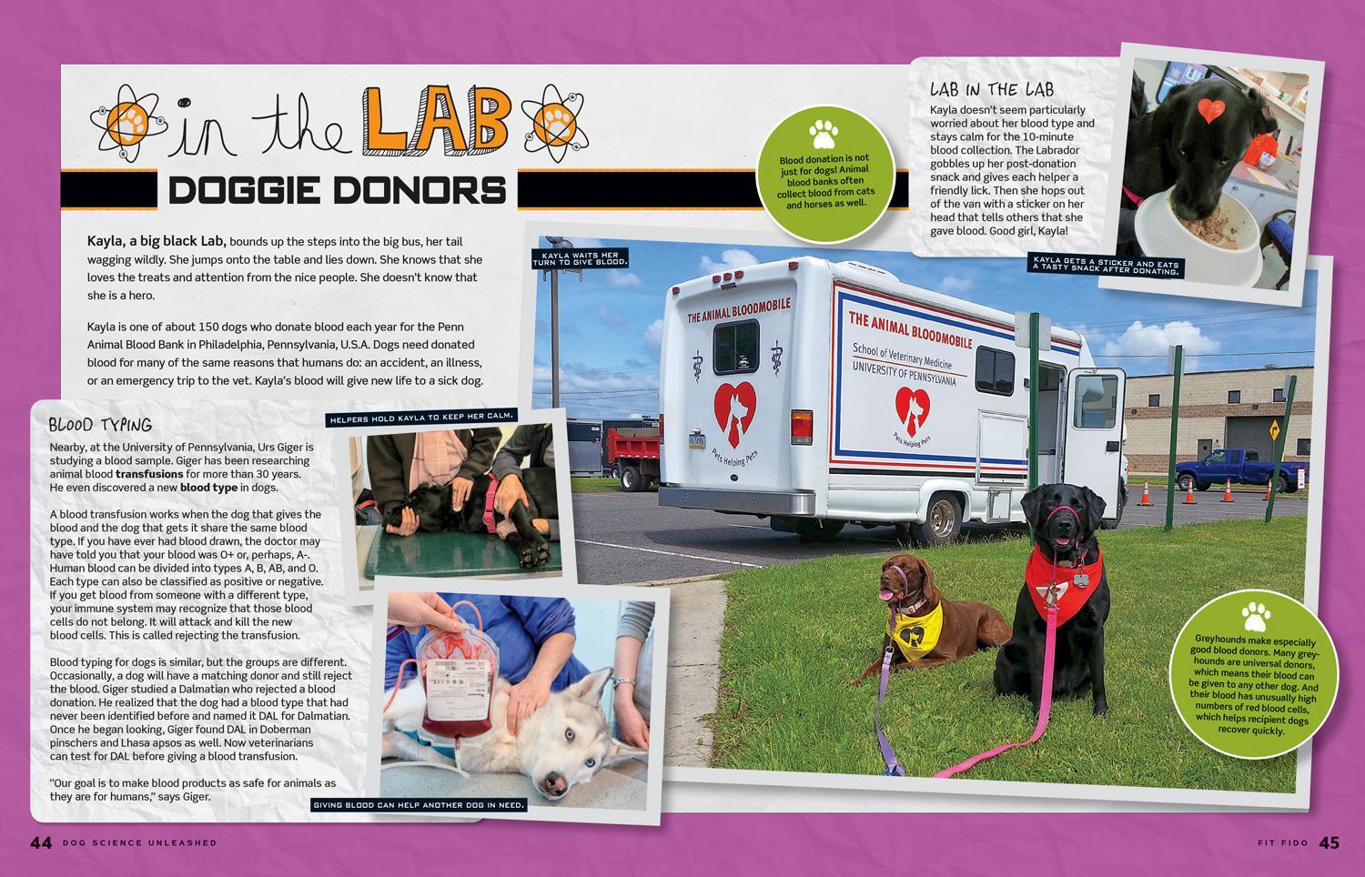 Bild: 9781426331534 | Dog Science Unleashed | National Geographic Kids (u. a.) | Taschenbuch