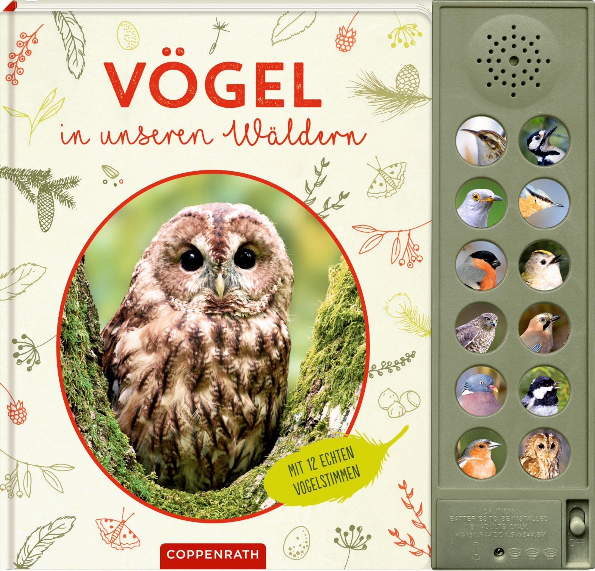 Cover: 9783649647294 | Vögel in unseren Wäldern | Mit 12 echten Tierstimmen | Holger Haag