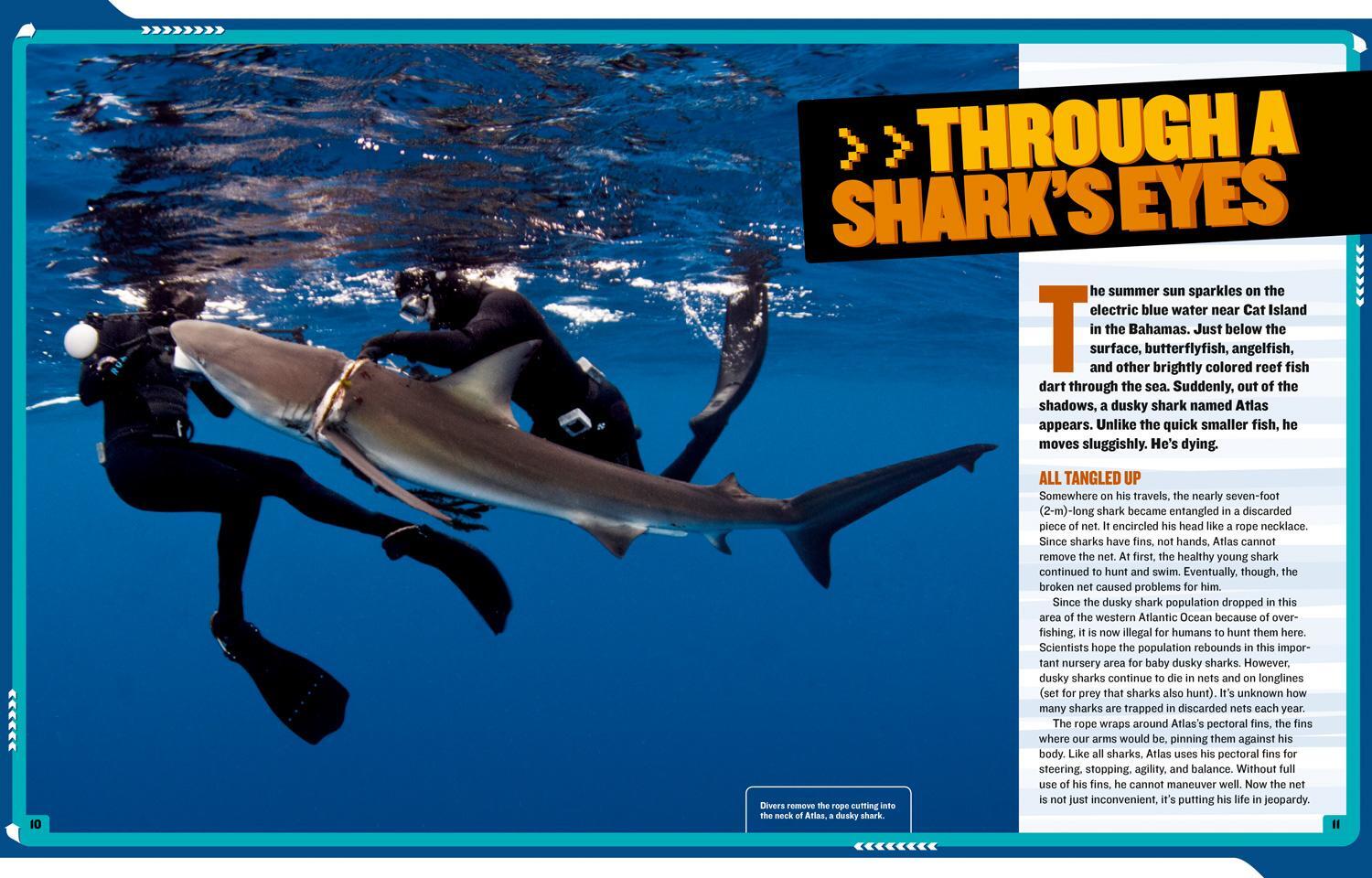 Bild: 9781426320903 | National Geographic Kids Mission: Shark Rescue | Ruth A Musgrave