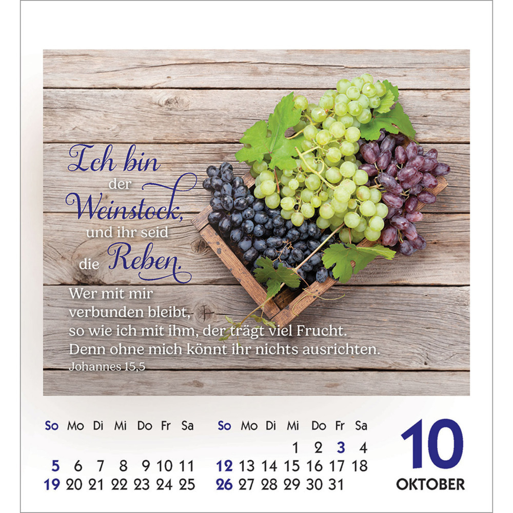 Bild: 9783754890356 | Lieblingsworte umgeben dich 2025 | Aufkleber-Kalender | Kalender