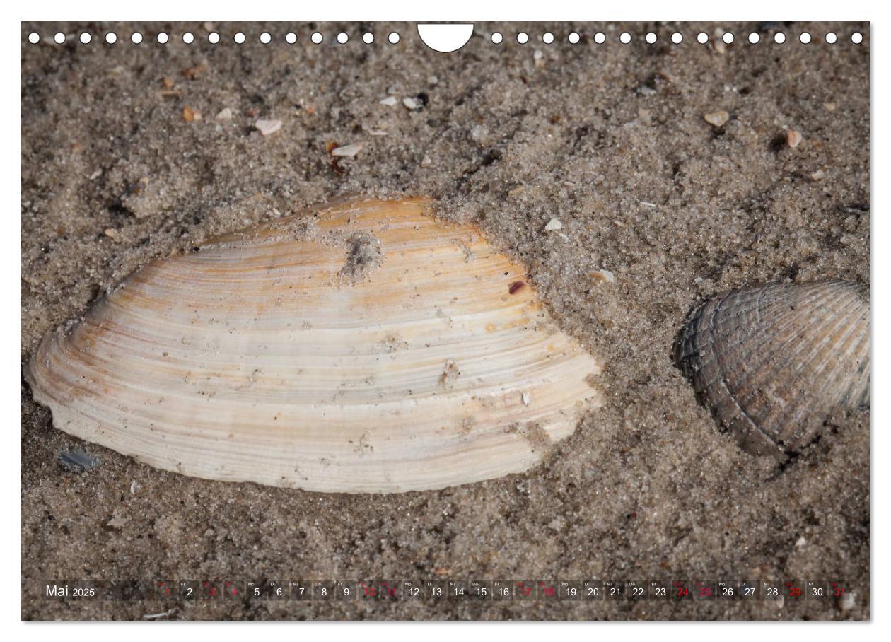 Bild: 9783435427918 | Sankt Peter-Ording. Sonne - Strand - Meer (Wandkalender 2025 DIN A4...