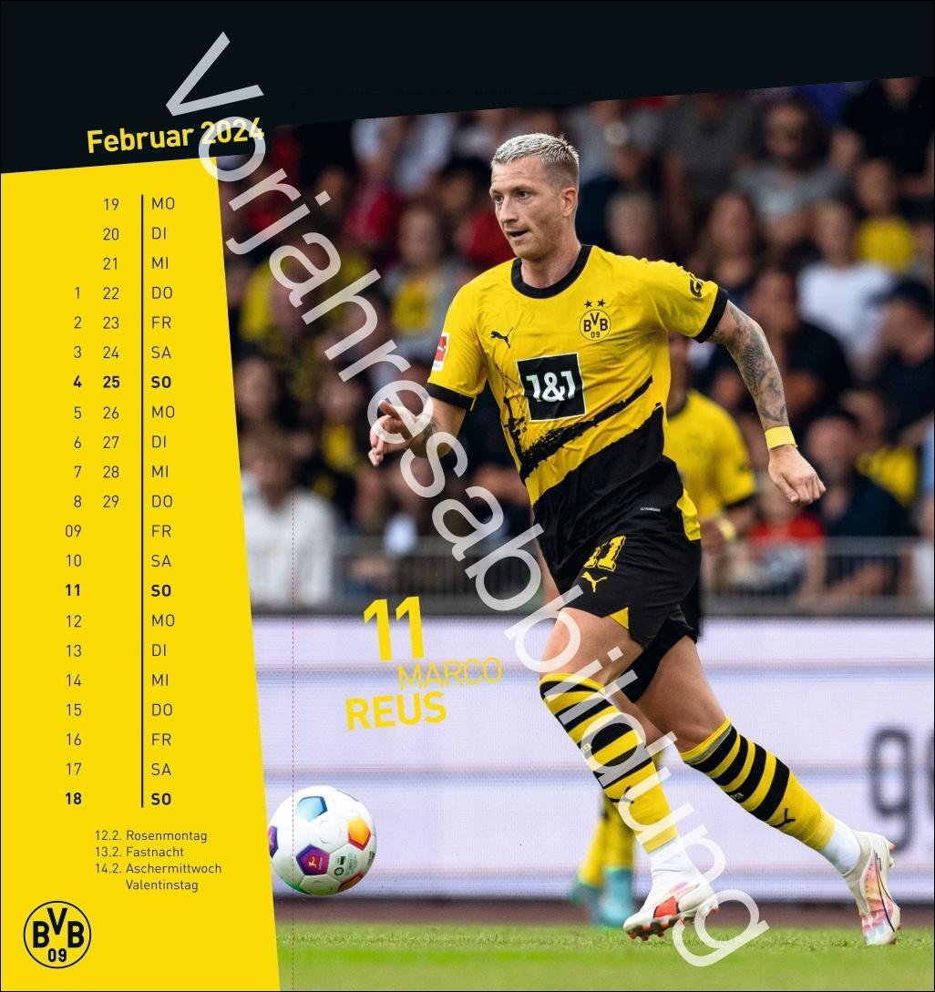 Bild: 9783756405473 | BVB Postkartenkalender 2025 | Heye | Kalender | Spiralbindung | 13 S.